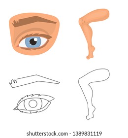 Vector design of body and part sign. Set of body and anatomy stock vector illustration.