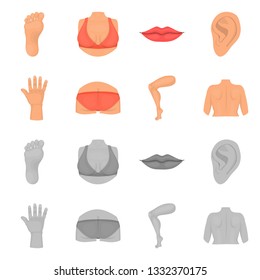 Vector design of body and part symbol. Collection of body and anatomy stock vector illustration.