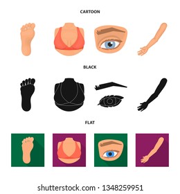 Vector design of body and part symbol. Set of body and anatomy stock vector illustration.