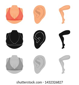 Vector design of body and part symbol. Set of body and anatomy stock vector illustration.