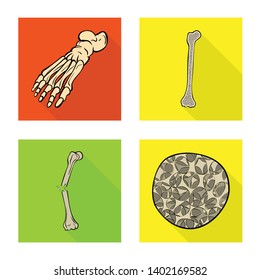 Vector design of bone and skeleton icon. Collection of bone and human stock vector illustration.