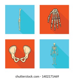 Vector design of bone and skeleton icon. Set of bone and human stock vector illustration.