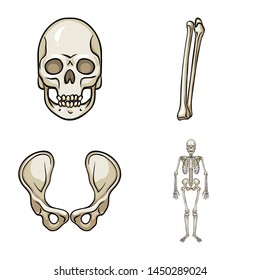 Vector design of bone and skeleton icon. Set of bone and human stock vector illustration.