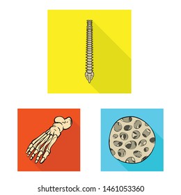 Vector design of bone and skeleton icon. Set of bone and human stock symbol for web.