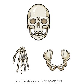 Vector design of bone and skeleton sign. Set of bone and human stock vector illustration.