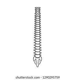 Vector design of bone and skeleton symbol. Set of bone and human vector icon for stock.