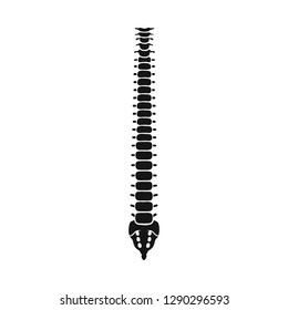 Vector design of bone and skeleton symbol. Set of bone and human stock symbol for web.