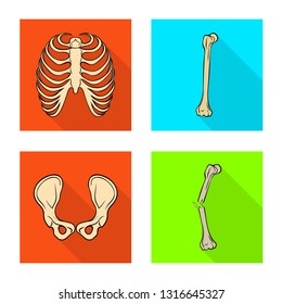 Vector design of bone and skeleton symbol. Collection of bone and human stock vector illustration.