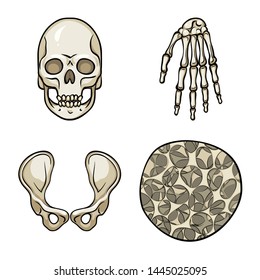 Vector design of bone and skeleton symbol. Collection of bone and human vector icon for stock.