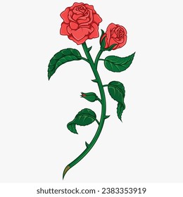 Vector design of a bouquet of roses, with leaves, petals and thorns, gift for lovers, plant for decoration