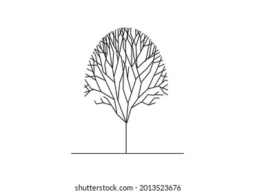 Vector design of a branch sketch of a tree