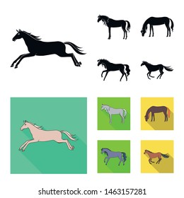 Vector design of breed and equestrian icon. Set of breed and mare vector icon for stock.