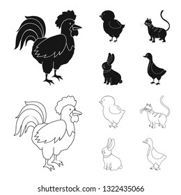 Vector design of breeding and kitchen  icon. Collection of breeding and organic  stock symbol for web.