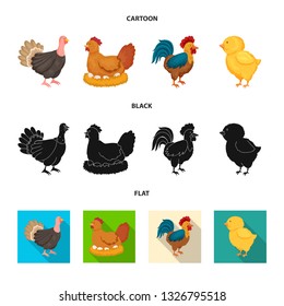 Vector design of breeding and kitchen  icon. Collection of breeding and organic  stock symbol for web.