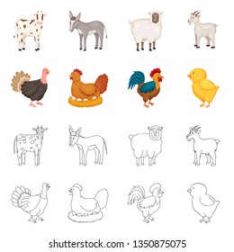 Vector design of breeding and kitchen  icon. Set of breeding and organic  stock vector illustration.