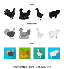 Vector design of breeding and kitchen  icon. Collection of breeding and organic  stock vector illustration.