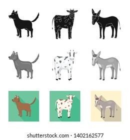 Vector design of breeding and kitchen  icon. Set of breeding and organic  stock vector illustration.