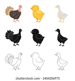 Vector design of breeding and kitchen  icon. Set of breeding and organic  stock symbol for web.