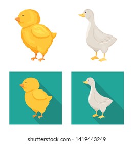 Vector design of breeding and kitchen  icon. Collection of breeding and organic  vector icon for stock.