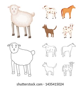 Vector design of breeding and kitchen icon. Set of breeding and organic vector icon for stock.