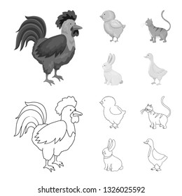 Vector design of breeding and kitchen  logo. Set of breeding and organic  stock symbol for web.