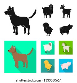 Vector design of breeding and kitchen  logo. Collection of breeding and organic  stock vector illustration.