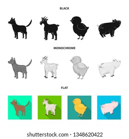 Vector design of breeding and kitchen  logo. Set of breeding and organic  vector icon for stock.