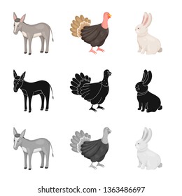 Vector design of breeding and kitchen  logo. Set of breeding and organic  stock vector illustration.