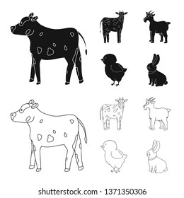 Vector design of breeding and kitchen  logo. Collection of breeding and organic  vector icon for stock.