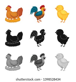 Vector design of breeding and kitchen  logo. Collection of breeding and organic  vector icon for stock.