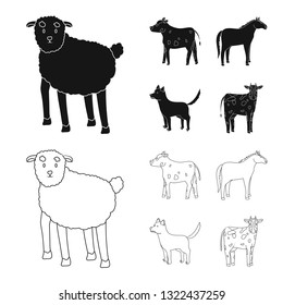 Vector design of breeding and kitchen  sign. Collection of breeding and organic  stock symbol for web.