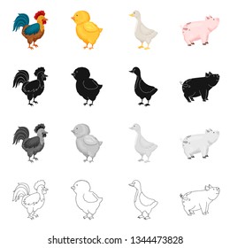 Vector design of breeding and kitchen  sign. Collection of breeding and organic  vector icon for stock.