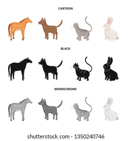 Vector design of breeding and kitchen  sign. Collection of breeding and organic  stock vector illustration.
