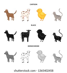 Vector design of breeding and kitchen  sign. Set of breeding and organic  stock vector illustration.