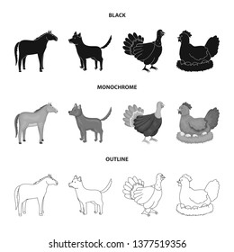 Vector design of breeding and kitchen  sign. Set of breeding and organic  stock vector illustration.