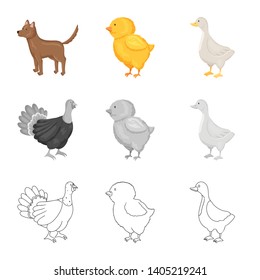 Vector design of breeding and kitchen  sign. Set of breeding and organic  stock vector illustration.