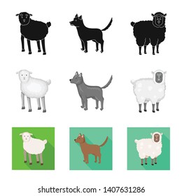 Vector design of breeding and kitchen  sign. Collection of breeding and organic  stock vector illustration.