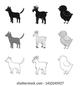 Vector design of breeding and kitchen  sign. Set of breeding and organic  vector icon for stock.