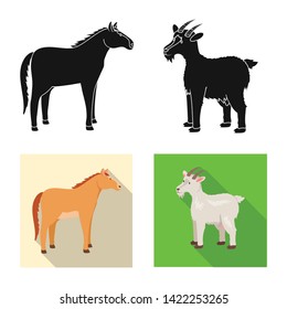 Vector design of breeding and kitchen  sign. Collection of breeding and organic  stock vector illustration.