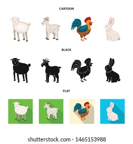 Vector design of breeding and kitchen sign. Set of breeding and organic stock vector illustration.
