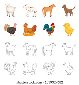Vector design of breeding and kitchen  symbol. Set of breeding and organic  stock vector illustration.