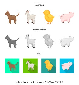 Vector design of breeding and kitchen  symbol. Set of breeding and organic  vector icon for stock.