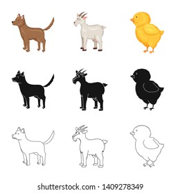 Vector design of breeding and kitchen  symbol. Collection of breeding and organic  vector icon for stock.