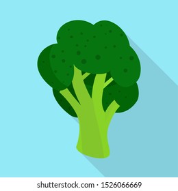 Vector design of broccoli and doodle sign. Graphic of broccoli stock symbol for web.