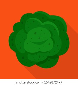 Vector design of broccoli and food logo. Web element of broccoli and vegetable vector icon for stock.