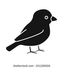 Vector design of bullfinch and bird icon. Graphic of bullfinch and robin vector icon for stock.