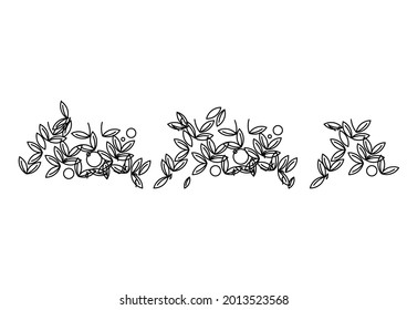 Vector design of a bunch of leaves or grass sketch