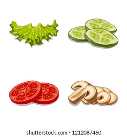 Vector design of burger and sandwich icon. Collection of burger and slice stock vector illustration.