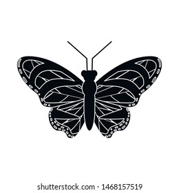 Vector design of butterfly and beauty symbol. Collection of butterfly and wildlife vector icon for stock.