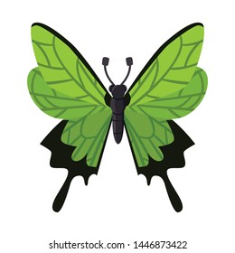 Vector design of butterfly and wings logo. Set of butterfly and wing vector icon for stock.